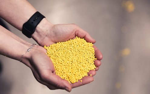 Geltonos spalvos plastiko granulės delnuose